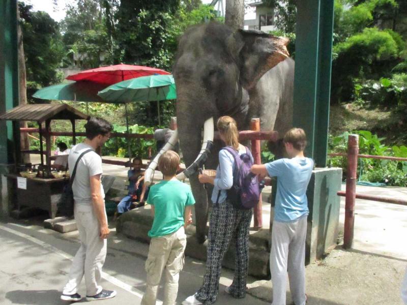 あちこちで動物の「餌やり」を体験できます