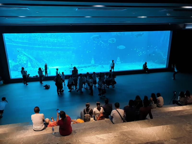 ゆっくり座って見ることができる巨大水槽