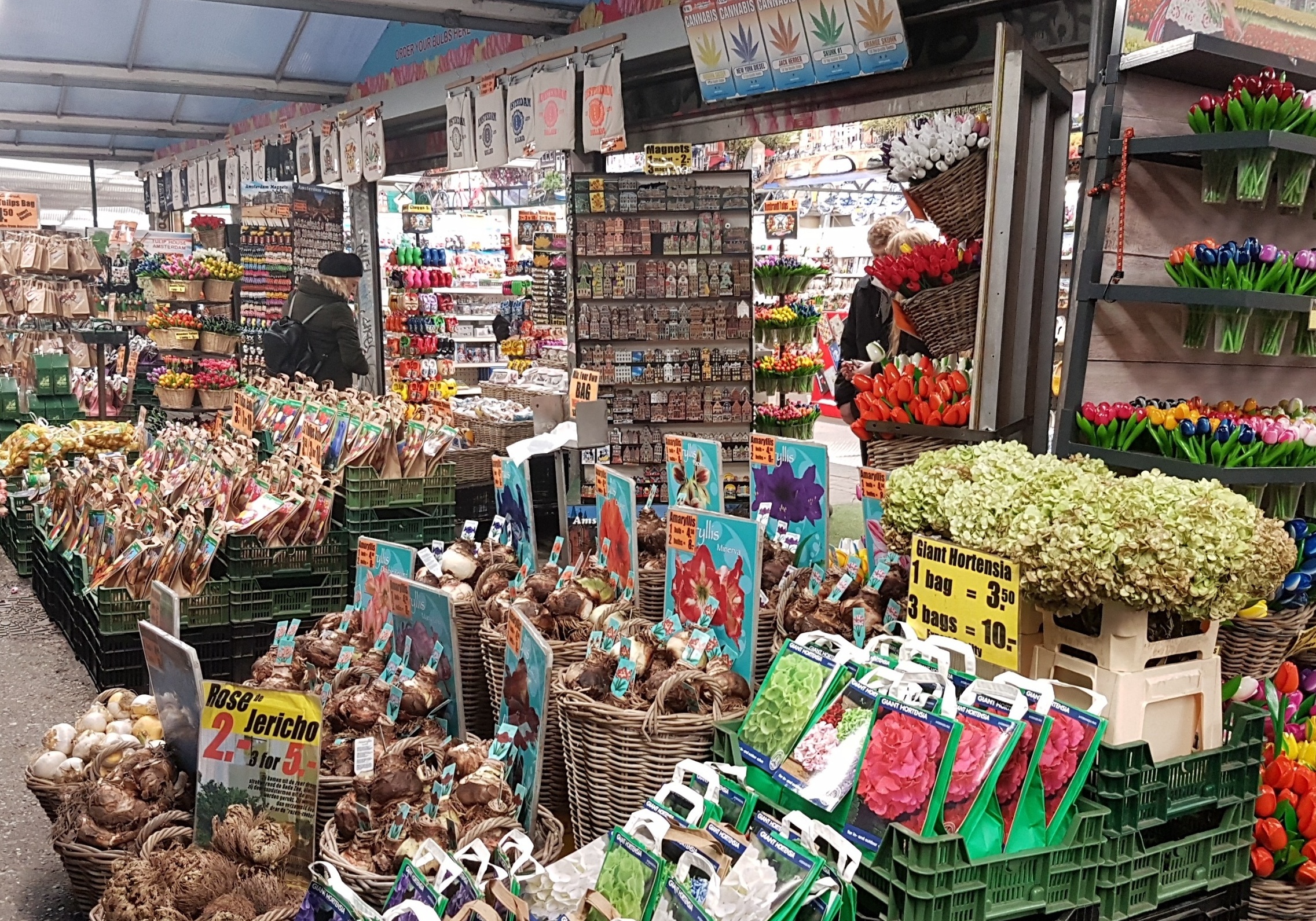 シンゲルの花市 - アムステルダムのおすすめショッピング・お土産