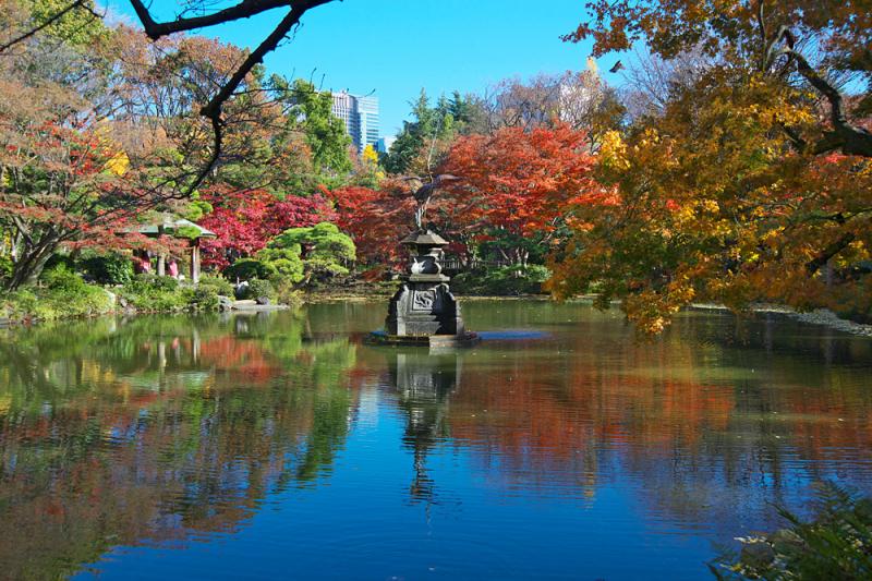 紅葉がみごとな雲形池