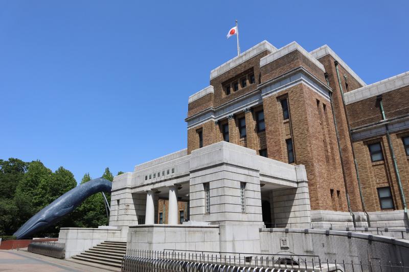 エチオピア　オパール　国立科学博物館 hqdefault.jpg