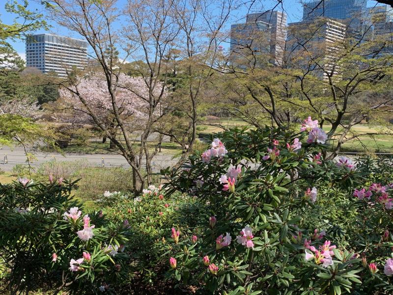 富士見多聞から旧本丸エリアの眺め