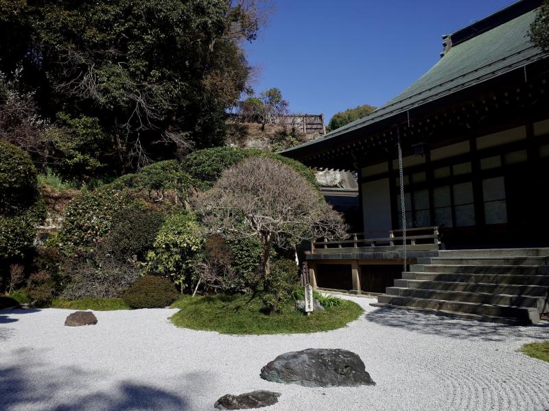 ダイナミックな枯山水庭園