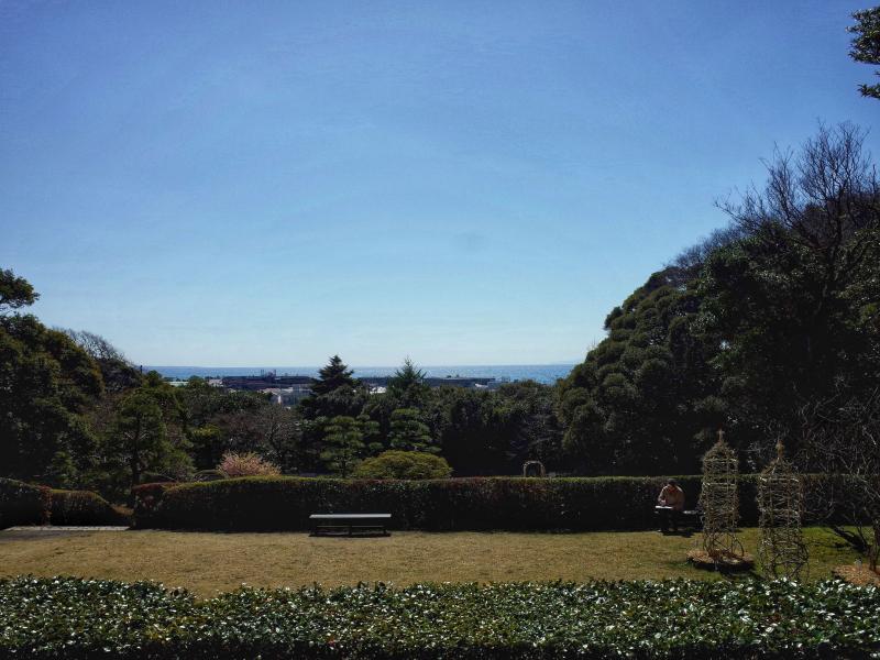 晴れた日には大島も見える