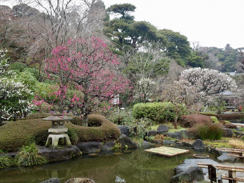 季節の花や緑も美しい、広々とした庭園