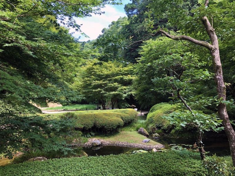 季節限定で散策できる円窓の向こう側