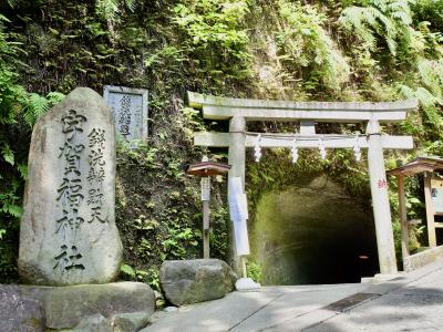鳥居の間から伸びる岩壁を掘って作られた参道は、異世界への入り口のよう