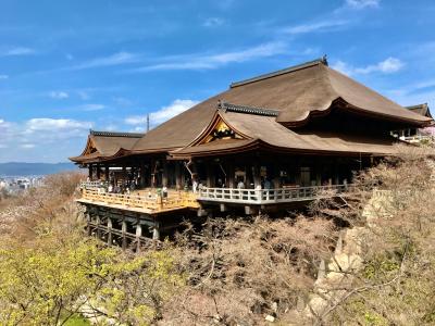 奥の院側から見た本堂。清水の舞台と京都市街を望む絶好の撮影スポット