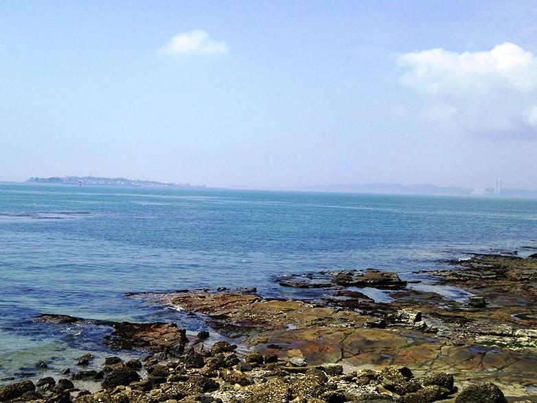 三河湾の豊かな自然を満喫できます