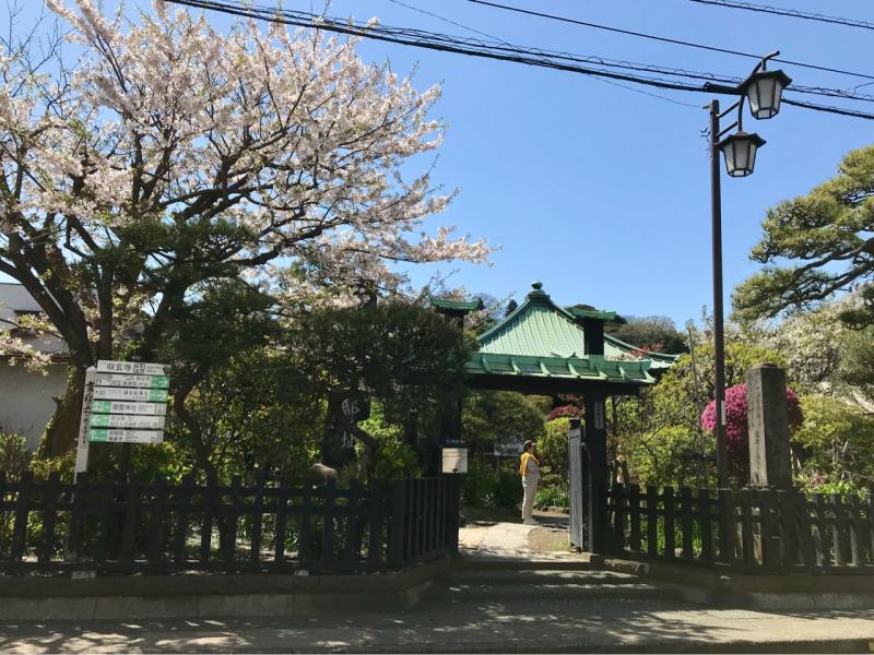 長谷通り沿いにある収玄寺