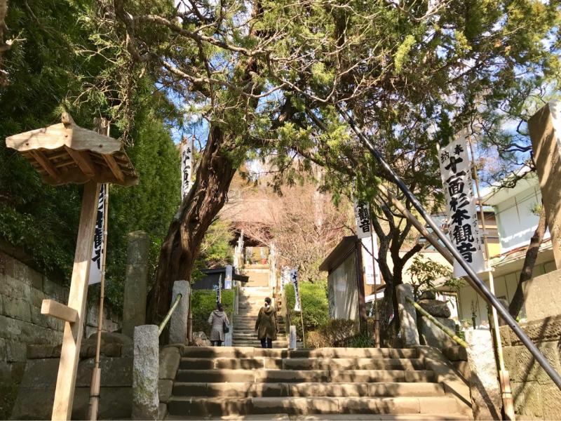 杉本寺の入口