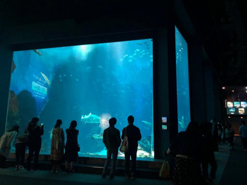 マリンワールド海の中道-九州の外洋大水槽
