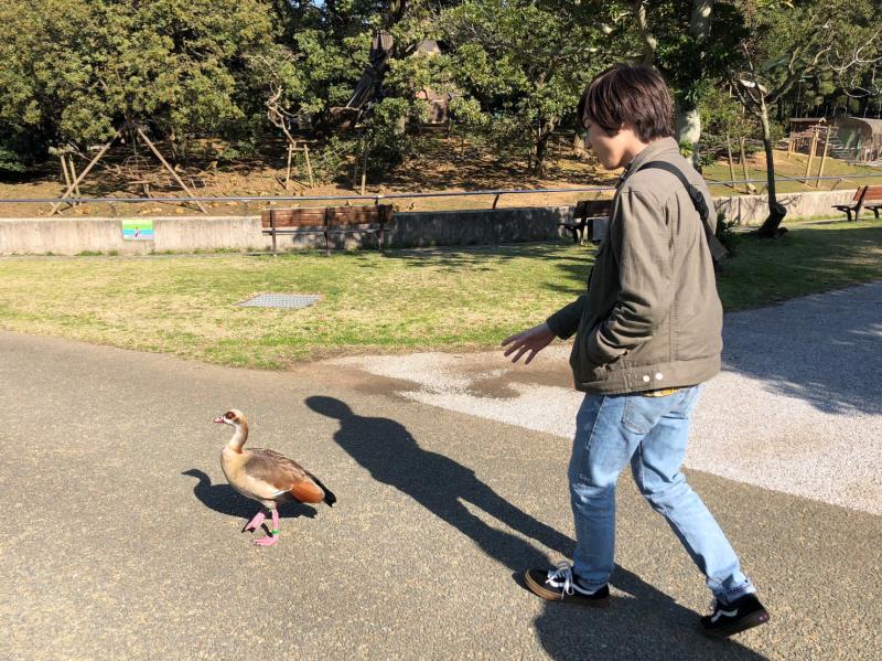 海の中道海浜公園-驚きの近さで観察できます