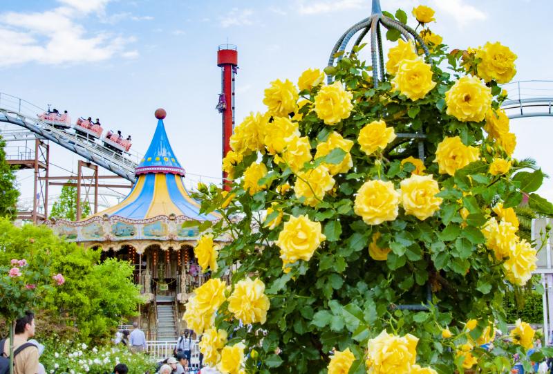 花と緑に癒やされる遊園地です
