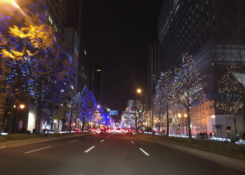 遠くまで続く冬のイルミネーションは寒さを忘れるほど！