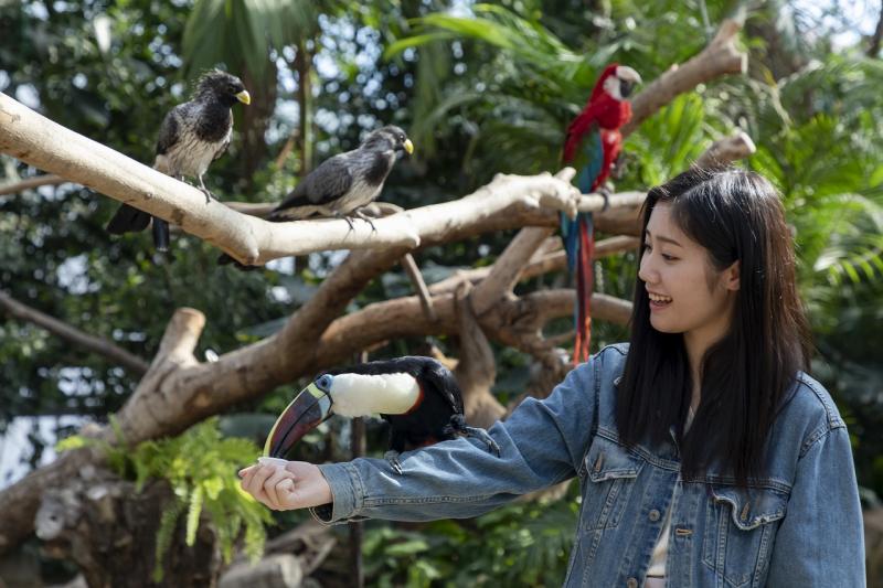 熱帯の森のトロピカルバードたちに感激