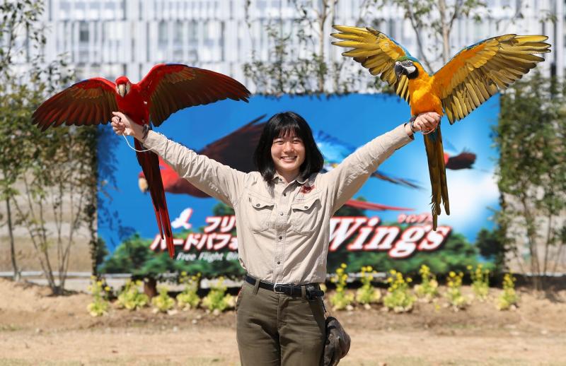 人気のバードパフォーマンスショー
