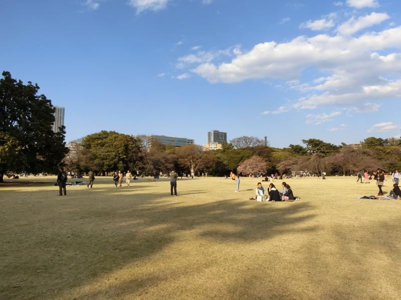 開放的な空間が広がる都会のオアシス