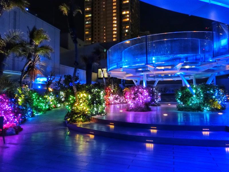 夜の屋外エリアはロマンチックな雰囲気に