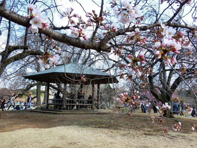 いくつかある東屋は休憩するのに最適