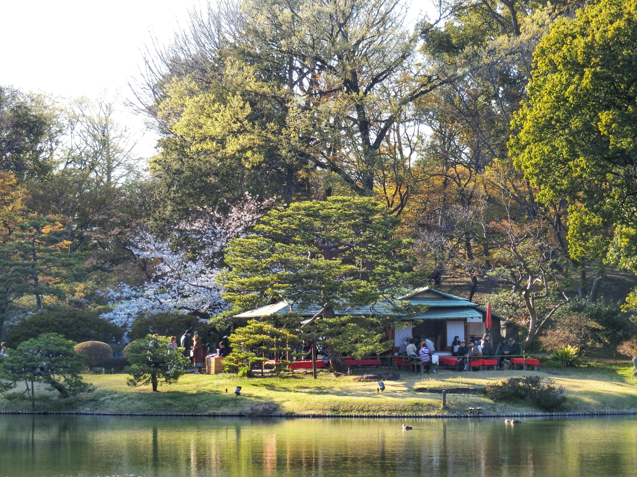 池を眺めながらくつろげる「吹上茶屋」