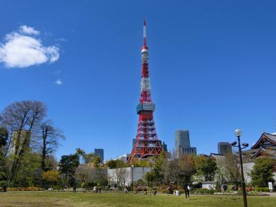 憩いの場となっている芝公園から見た東京タワー