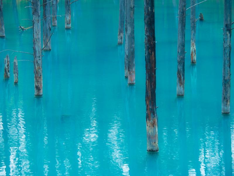 水面のアップ。この色を見ているだけで癒やされます♪