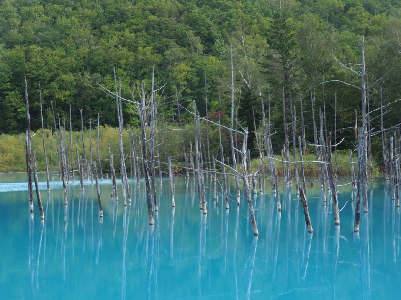 神秘的な色でパワーをもらえそう！