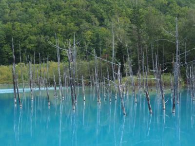 神秘的な色でパワーをもらえそう！