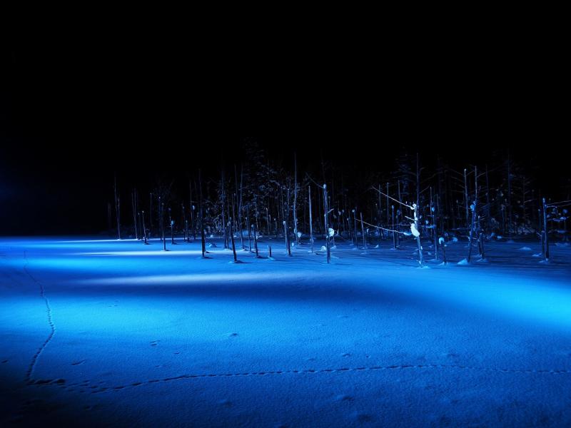 青い池は冬のライトアップもおすすめ！感動すること間違いなし！