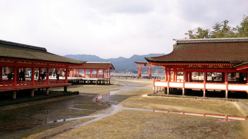 干潮時には鳥居のところまで水が引いています