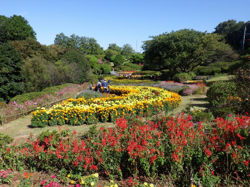 能古島-のこのしまアイランドパークでは、季節ごとの花々も楽しみましょう