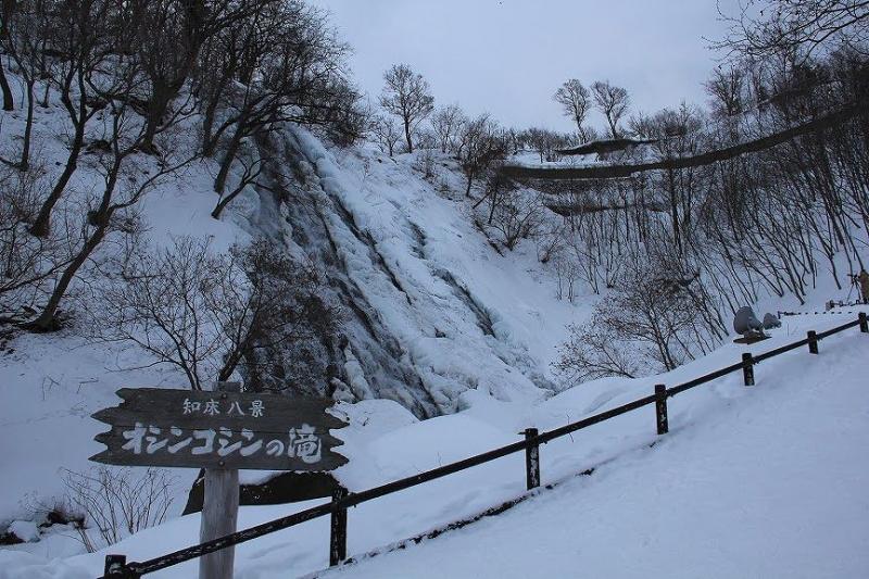 冬に雪が積もると雰囲気が一変