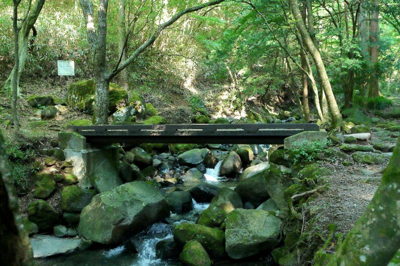 背後にある苔で覆われた木の橋