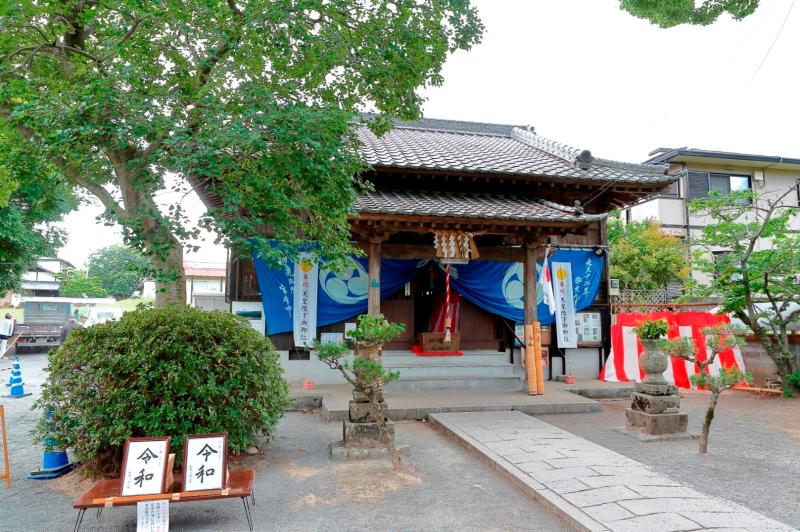 坂本八幡宮-巨木に囲まれた境内