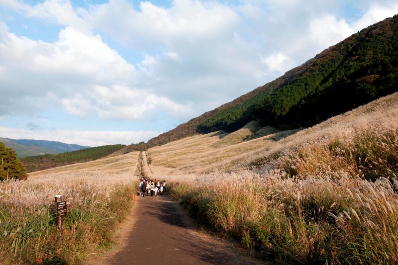 傾斜があまりなく歩きやすい散策路