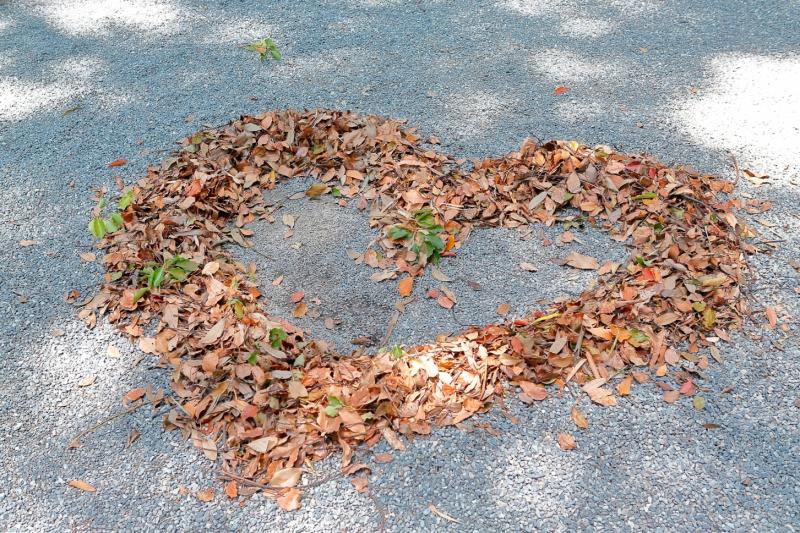 神職や巫女さんたちが掃き集めたハート形の落ち葉