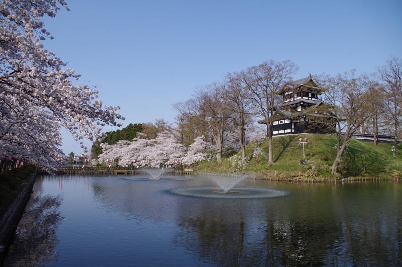 高田公園 (高田城跡)-三重櫓の周囲に続く堀を縁どるように開花する桜