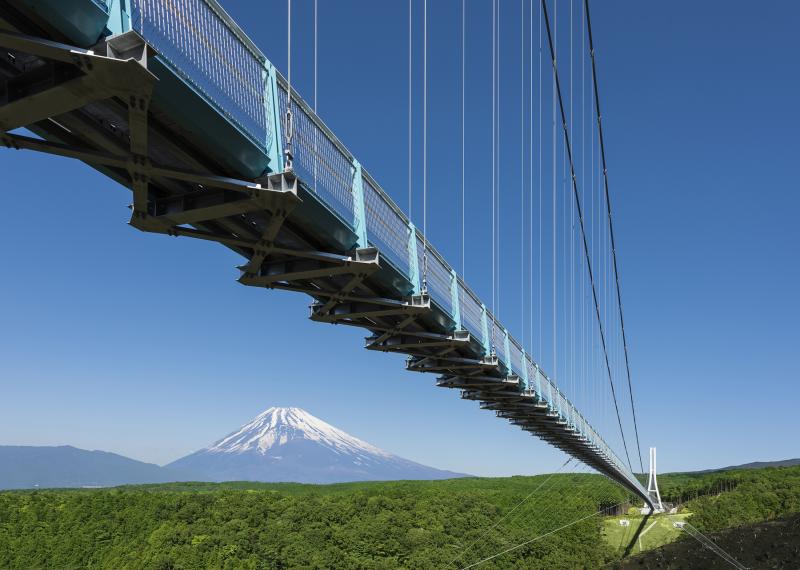 富士山の全容を見るには、空気が澄んだ冬期の午前中がベスト