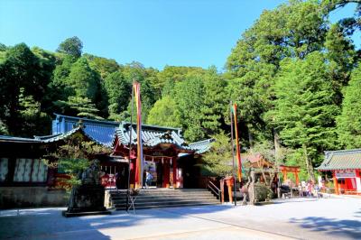 古くは関東総鎮守と称された荘厳な雰囲気の御社殿