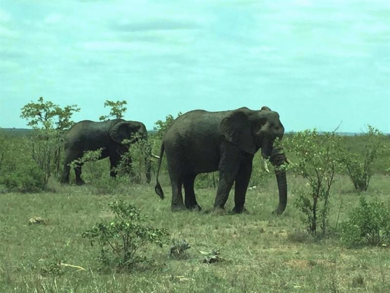 南アフリカ観光のおすすめスポット10選 一生に一度は見たい絶景からサファリまで トラベルコ 南アフリカ観光のおすすめスポット10選 一生に一度は見たい絶景からサファリまで トラベルコ