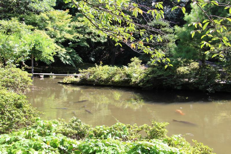 モチーフとなった楽器の形を連想しながらそぞろ歩きたい庭園