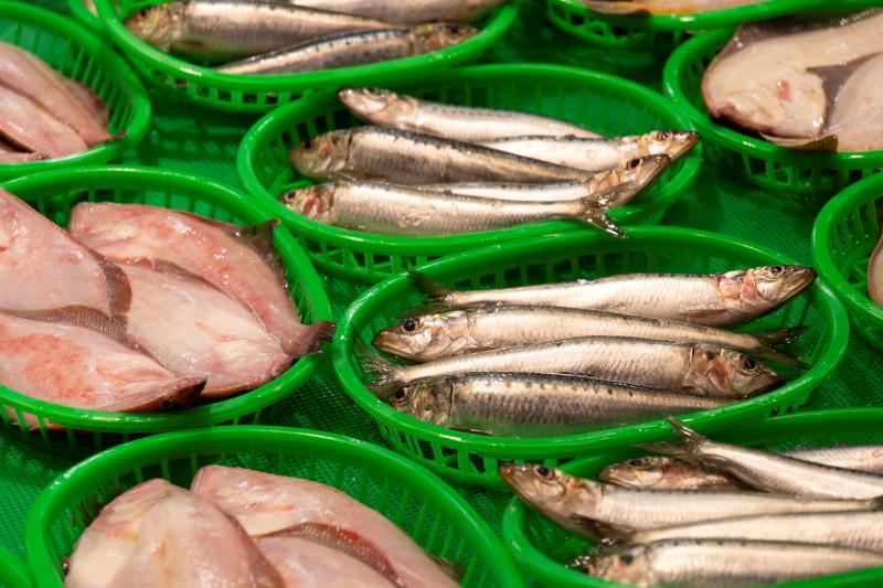 鮮魚は基本的にカゴに入れて販売されており、値引交渉にも挑戦したい