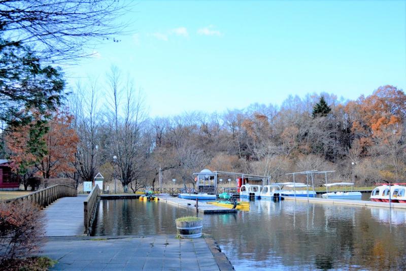 塩沢湖ではボートを楽しむ人の姿も。軽井沢でボートに乗れるのは、ここだけなのだそう