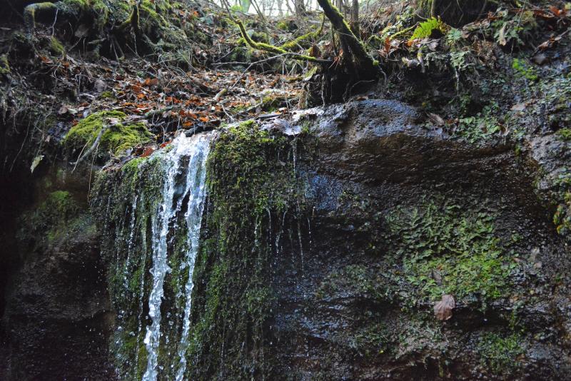 白糸の滝は浅間山の地下水が湧き出たもので、真冬でも凍らないそうです
