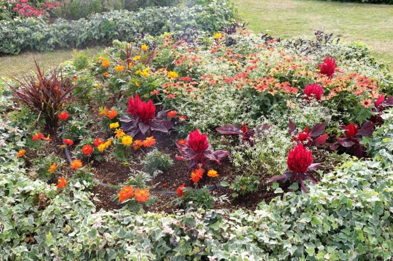 園内にはいたるところに花々が