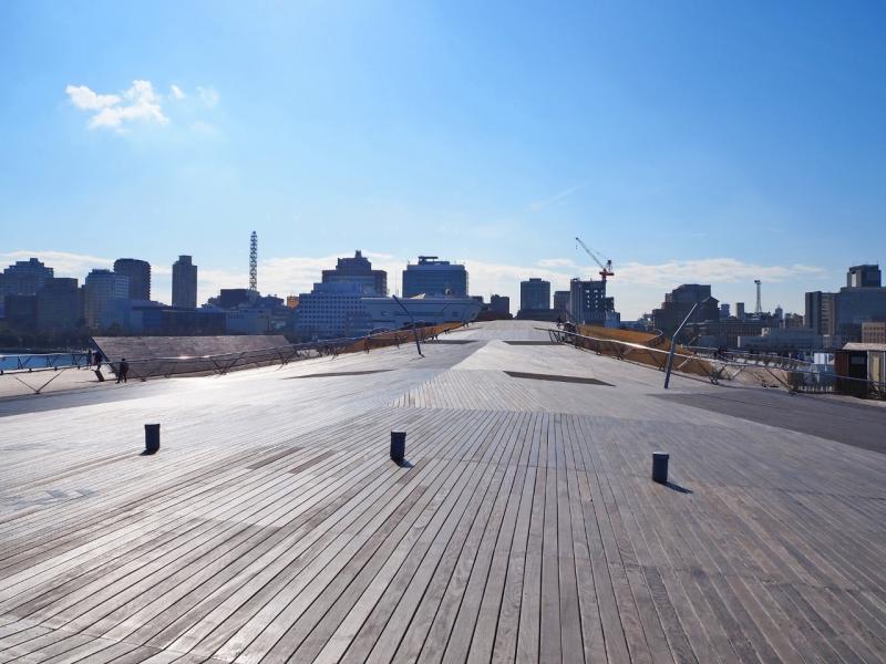 ウッドデッキには耐久性が高く見た目も美しいブラジル産木材イペを使用。緑地もあり気持ちがいい！