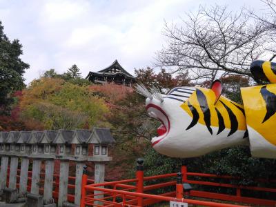 寺のマスコットともいえる福寅が本堂を見上げている