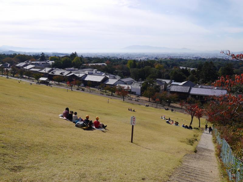 麓の草地もなかなかの勾配。右側の階段が北ゲートからの登山ルート