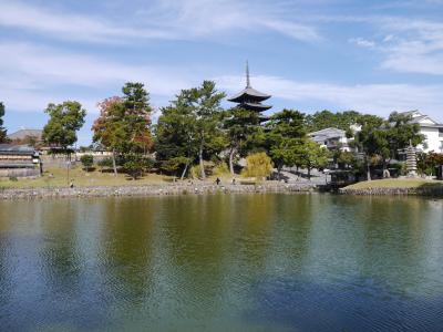 興福寺五重塔との風景は奈良を代表する景観